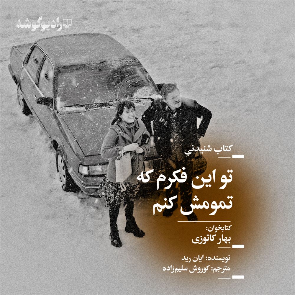 Picture of تو این فکرم که تمومش کنم