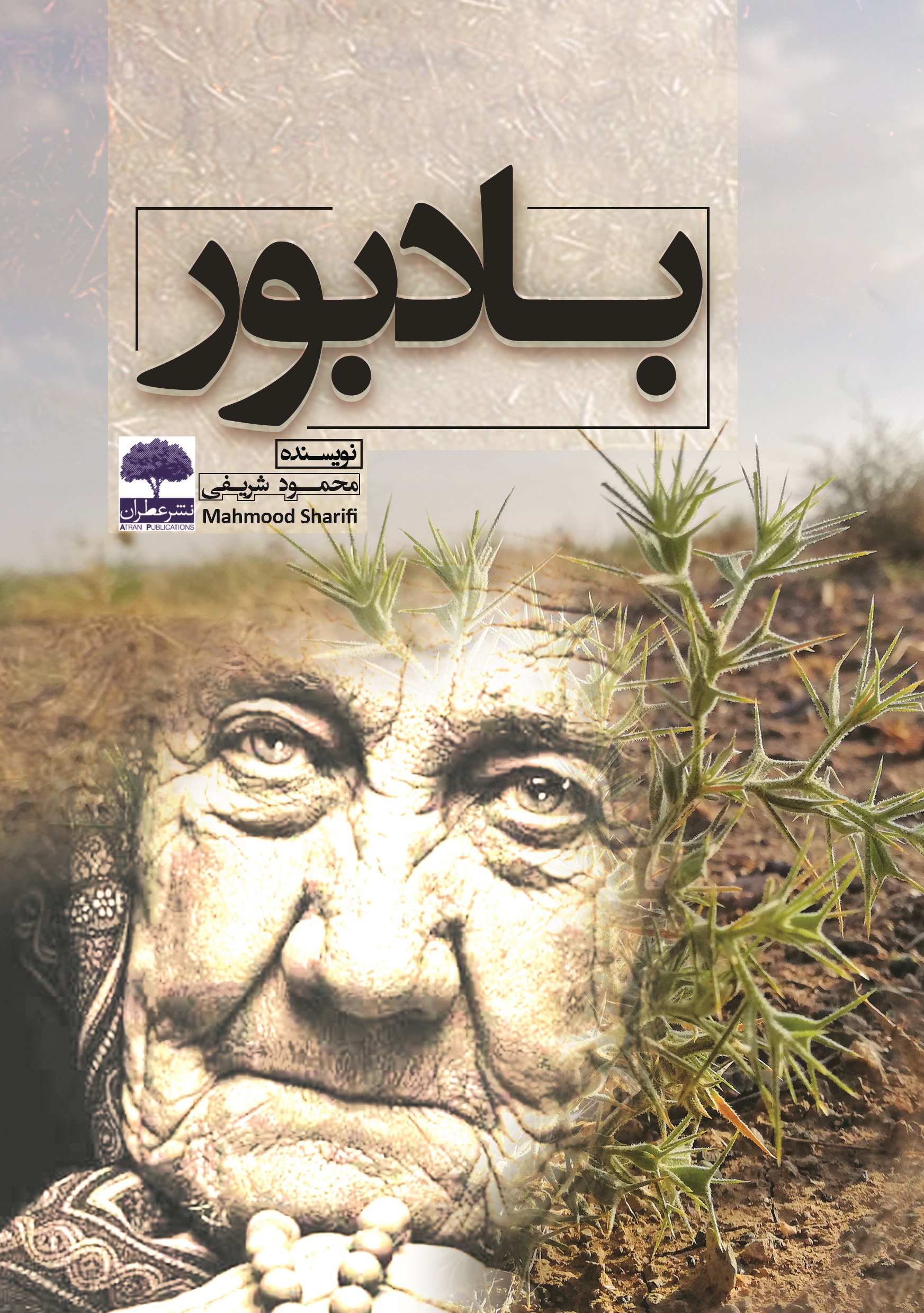تصویر بادبور