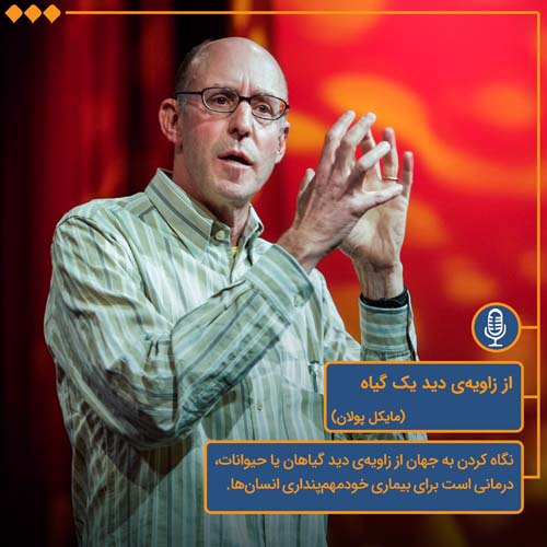 لحن دیگر/از زاویه ی دید یک گیاه/cover.jpg